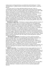 Anaerobinė angliavandenių apykaita bei jos reguliavimas 6 puslapis