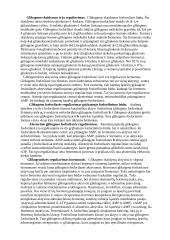 Anaerobinė angliavandenių apykaita bei jos reguliavimas 7 puslapis