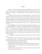 Tarptautinio transporto priemonių vairuotojų civilinės atsakomybės privalomojo draudimo (TPVCAPD) sistema 3 puslapis