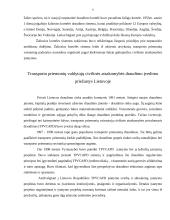 Tarptautinio transporto priemonių vairuotojų civilinės atsakomybės privalomojo draudimo (TPVCAPD) sistema 6 puslapis