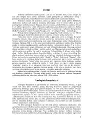 Analoginiai kompiuteriai. Istorija ir panaudojimas 3 puslapis