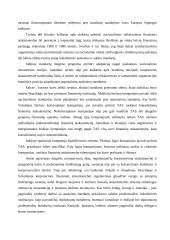 Tarptautinių finansinės atsakomybės standartų praktinio įgyvendinimo klausimų apžvalga 2 puslapis