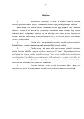 Teisė kaip procesas: trys teisės ontologiniai lygmenys 17 puslapis