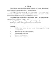 Teisė kaip procesas: trys teisės ontologiniai lygmenys 3 puslapis