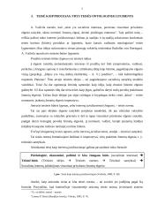 Teisė kaip procesas: trys teisės ontologiniai lygmenys 5 puslapis