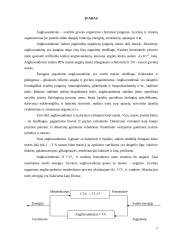 Angliavandenių struktūra, klasifikacija, maistinė vertė bei apykaita 2 puslapis