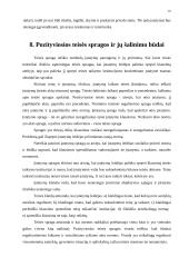 Teisėkūra ir teisėkūros teisinis reglamentavimas Lietuvoje 16 puslapis