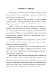 Teisėkūra ir teisėkūros teisinis reglamentavimas Lietuvoje 5 puslapis