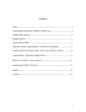 Angliavandeniai, jų funkcijos ir reikšmė gyviems organizmams 2 puslapis