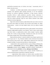 Angliavandeniai, jų funkcijos ir reikšmė gyviems organizmams 11 puslapis