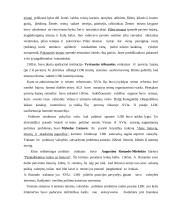 Teisinės minties raida Lietuvoje 4 puslapis