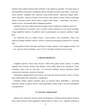 Antikinis graikų teatras 7 puslapis