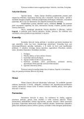 Antikinis teatras 5 puslapis