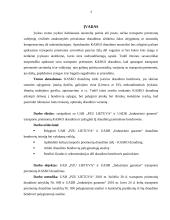 Transporto priemonių (kasko) draudimo palyginamoji analizė: "PZU Lietuva" ir UADB "Industrinis garantas" 2 puslapis