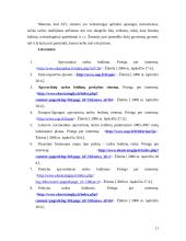 Apyvartinių taršos leidimų sistemos 10 puslapis