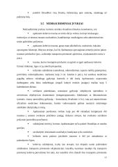 Transporto priemonių keleivių nelaimingų atsitikimų draudimas 11 puslapis