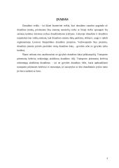 Transporto priemonių keleivių nelaimingų atsitikimų draudimas 3 puslapis