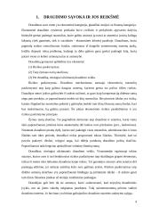 Transporto priemonių keleivių nelaimingų atsitikimų draudimas 4 puslapis