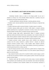 Transporto priemonių keleivių nelaimingų atsitikimų draudimas 8 puslapis