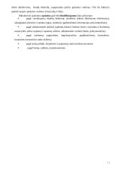 Buhalterinė apskaita Lietuvoje 11 puslapis