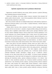 Buhalterinė apskaita Lietuvoje 5 puslapis