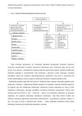 Buhalterinė apskaita Lietuvoje 6 puslapis
