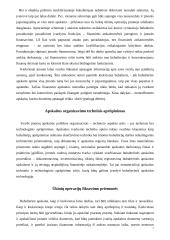 Buhalterinė apskaita Lietuvoje 7 puslapis