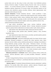 Buhalterinė apskaita Lietuvoje 8 puslapis