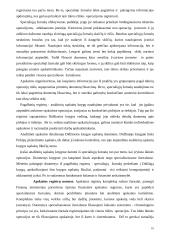 Buhalterinė apskaita Lietuvoje 10 puslapis