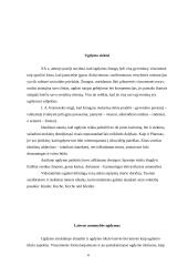 Ugdymo siekiai ir vertybės 4 puslapis