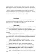 Ugdymo siekiai ir vertybės 6 puslapis