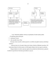 Apskaitos ypatybės 12 puslapis