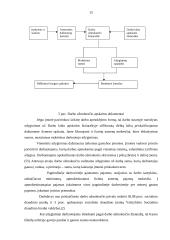 Apskaitos ypatybės 15 puslapis