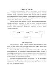 Apskaitos ypatybės 3 puslapis