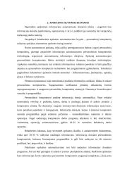 Apskaitos ypatybės 4 puslapis