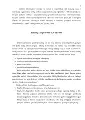 Valdymo apskaitos samprata 3 puslapis