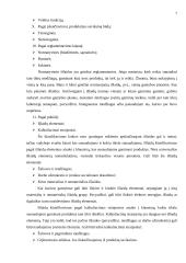 Valdymo apskaitos samprata 5 puslapis