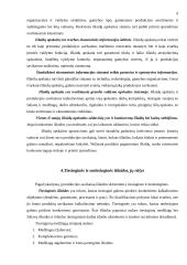 Valdymo apskaitos samprata 7 puslapis