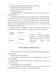 Valdymo apskaitos samprata 8 puslapis