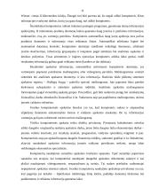 Apskaitinė informacija 11 puslapis