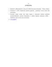 Apskaitinė informacija 13 puslapis