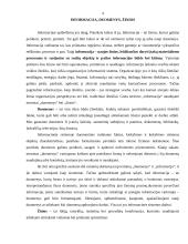 Apskaitinė informacija 4 puslapis