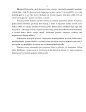 Apskaitinė informacija 5 puslapis