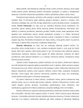 Apskaitinė informacija 9 puslapis