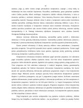 Apskaitinė informacija 10 puslapis