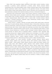 Apskaitos kompiuterizavimas 11 puslapis