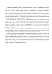 Apskaitos kompiuterizavimas 12 puslapis