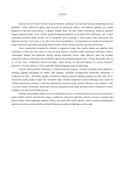 Apskaitos kompiuterizavimas 3 puslapis