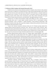 Apskaitos kompiuterizavimas 4 puslapis