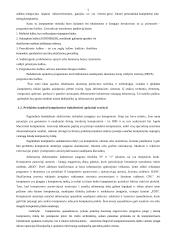 Apskaitos kompiuterizavimas 5 puslapis